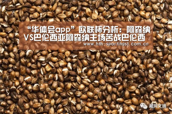 华体会